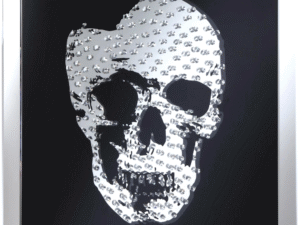 Modern Mirrored Crystal Skull